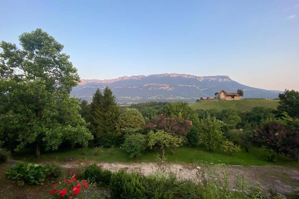 Au Calme Avec Vue Magnifique A Saint Maximin Lejlighed Eksteriør billede