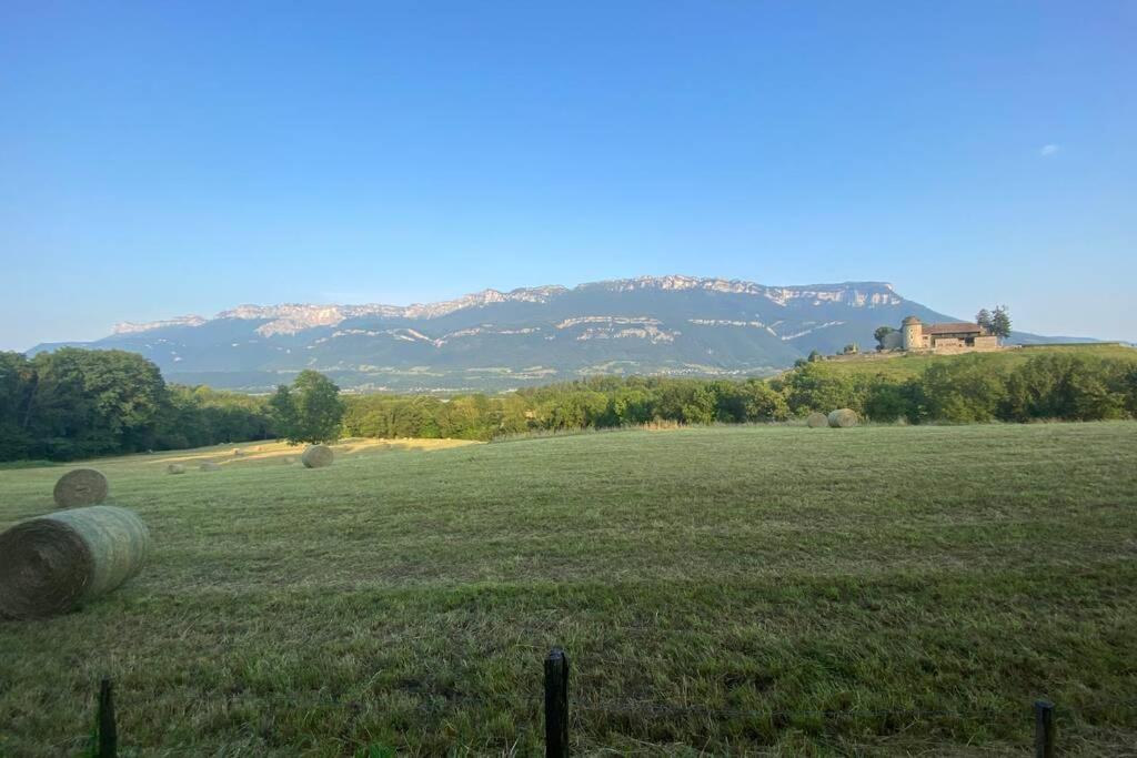 Au Calme Avec Vue Magnifique A Saint Maximin Lejlighed Eksteriør billede